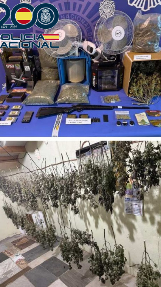 Desmantelan un sofisticado laboratorio de marihuana en una nave industrial de Ponferrada (León)
