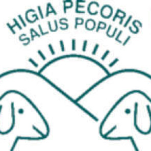 Programa veterinario: el veterinario en ganadería brava
