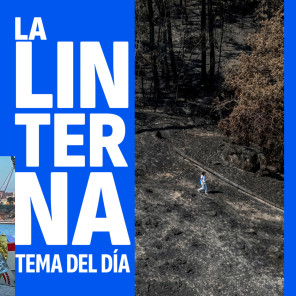 Cover Tema del Día reforestación