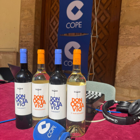 Carnaval Villarrobledo