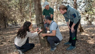 Un estudio de fauna silvestre en Sendaviva muestra la función del parque como refugio de especies