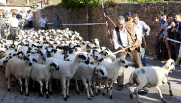 La Fiesta de la Trashumancia recordará a las personas que se quedaban en la sierra riojana