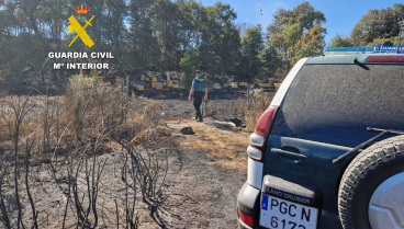 Investigado un apicultor como presunto autor del incendio forestal de Brañuelas (León)