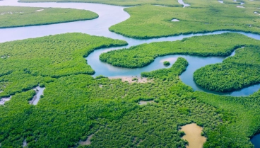 Río Amazonas