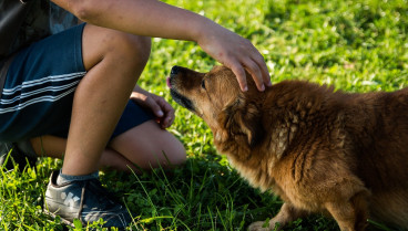 Así te localizan para multarte por dejar heces de tu perro en la calle: "Sabemos color, tamaño, raza y sexo"