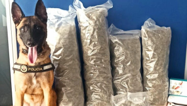 Un perro permite detectar más de cuatro kilos de droga rumbo a Rumanía