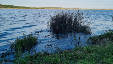 La laguna presenta estos días mucha agua almacenada