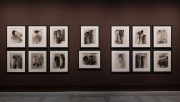 Fotografías de la exposición de Irving Penn