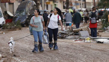 Perros tras la Dana