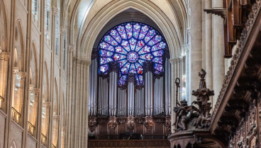 Vista de la roseta y el órgano de la catedral de Notre Dame