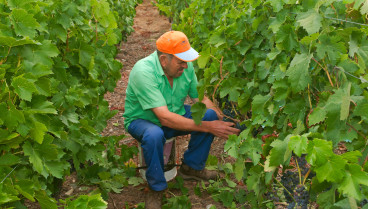 Hombre trabajando