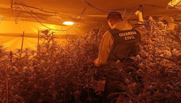 Marihuana intervenida por la Guardia Civil