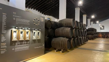 Bodegas Cayetano del Pino