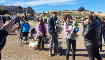 Bendición de animales en Lorca tras la ruta canina al castillo