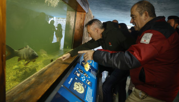 El consejero de Medio Ambiente, Carlos Novillo, en el nuevo acuario de La Pedriza