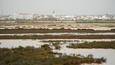 Terrenos anegados del municipio de Riotinto. A 21de enero de 2025, en Huelva (Andalucía, España). La Junta de Andalucía ha activado la fase 1 de emergencia ante riesgo de inundaciones del Plan Especial de Emergencias (PERI), ante el aviso rojo por lluvias decretado en la provincia Huelva para este martes y de nivel amarillo en Sevilla.Francisco J. Olmo / Europa Press21/1/2025