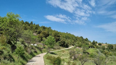 Ajuntament de Morella