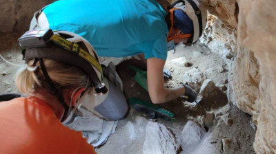 Ajuntament d'Alcalà-Alcossebre