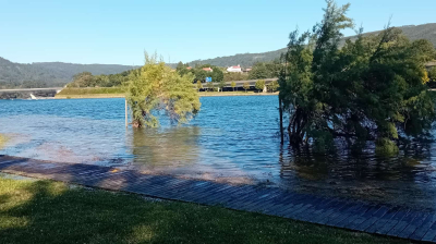 Los árboles del paseo de Pontedeume quedaron cubiertos por el mar