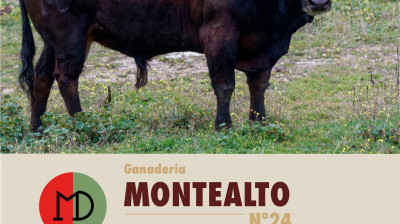 montealto_2