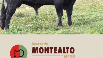 montealto_3