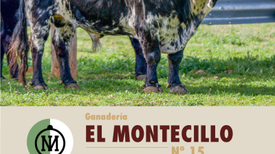 montecillo_2