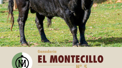 montecillo_3