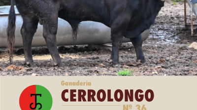 Los toros de Flor de Jara y Cerro Longo para Valdilecha