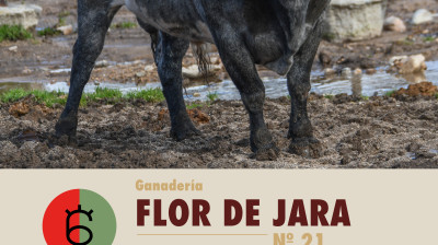 Los toros de Flor de Jara y Cerro Longo para Valdilecha