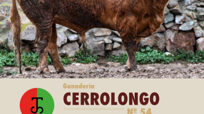 Los toros de Flor de Jara y Cerro Longo para Valdilecha