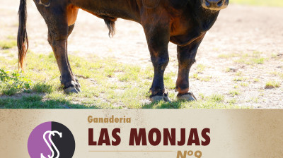 Toro de Las Monjas para Estremera