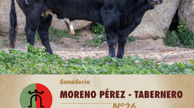 Toro de Moreno Pérez-Tabernero para Estremera