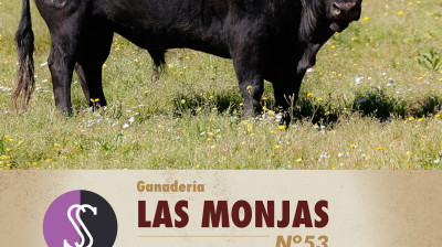 Toro de Las Monjas para Estremera