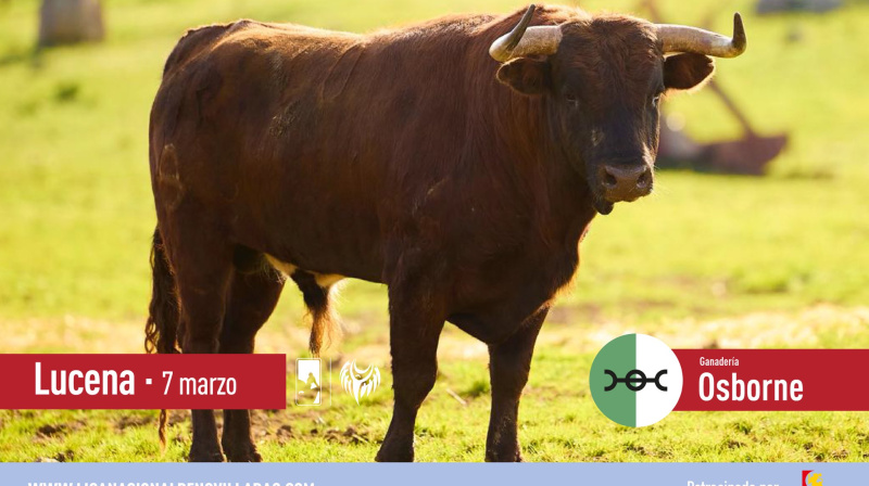 Novillo de Osborne para Lucena