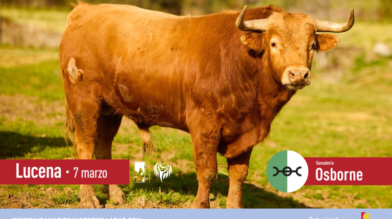 Novillo de Osborne para Lucena
