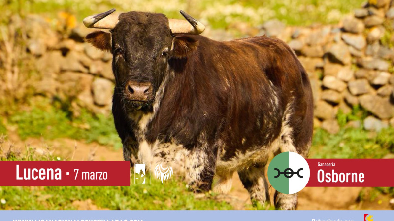 Novillo de Osborne para Lucena