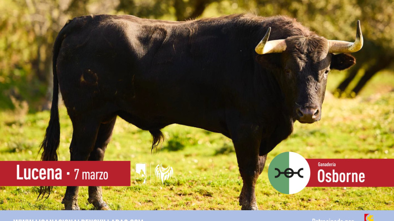 Novillo de Osborne para Lucena