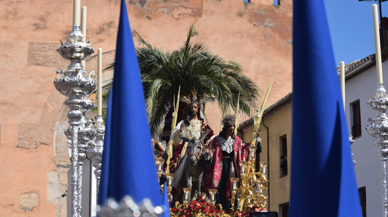 Domingo de Ramos en Granada