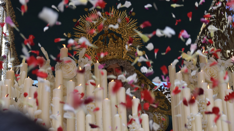Domingo de Ramos en Granada