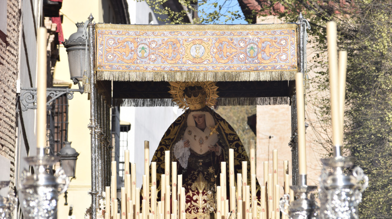 Domingo de Ramos en Granada