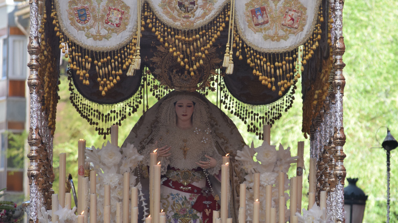Domingo de Ramos en Granada