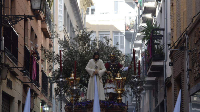 Domingo de Ramos en Granada