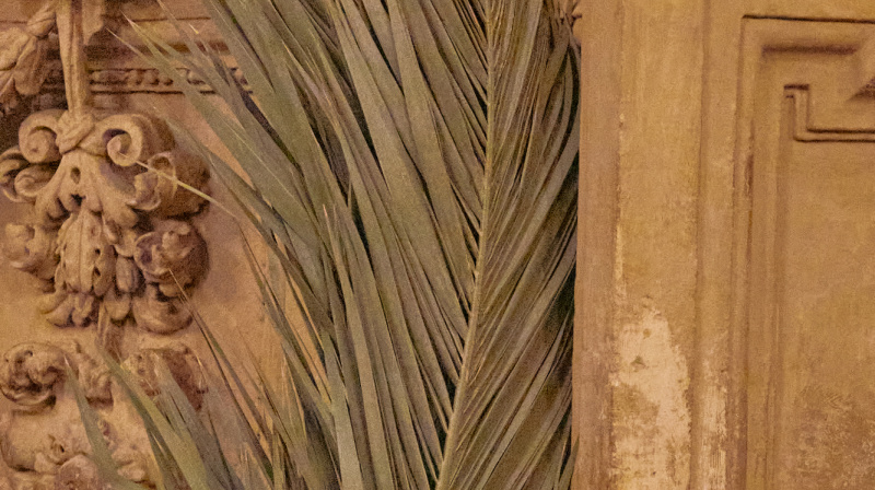 Domingo de Ramos en Granada