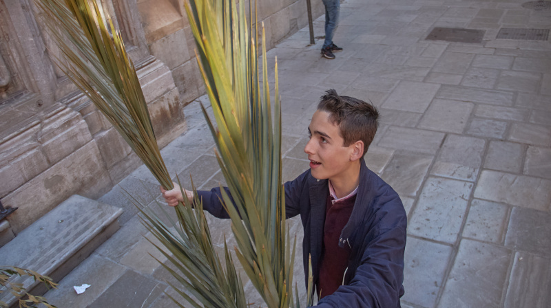 Domingo de Ramos en Granada