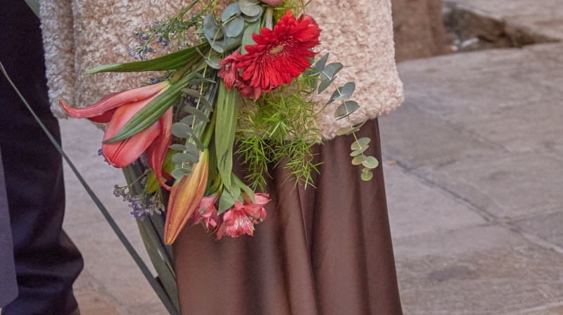 Domingo de Ramos en Granada