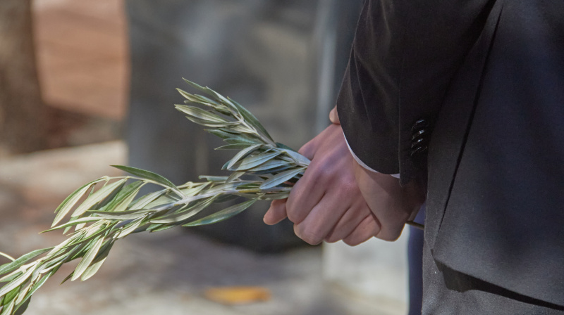 Domingo de Ramos en Granada