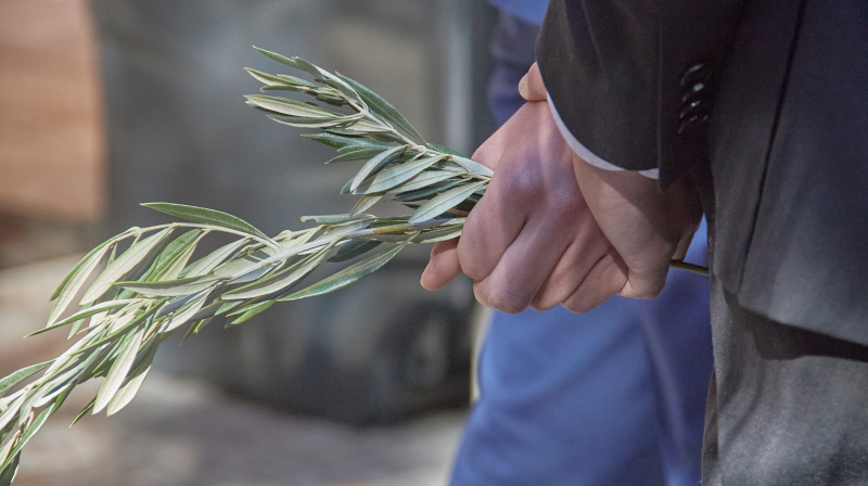Domingo de Ramos en Granada