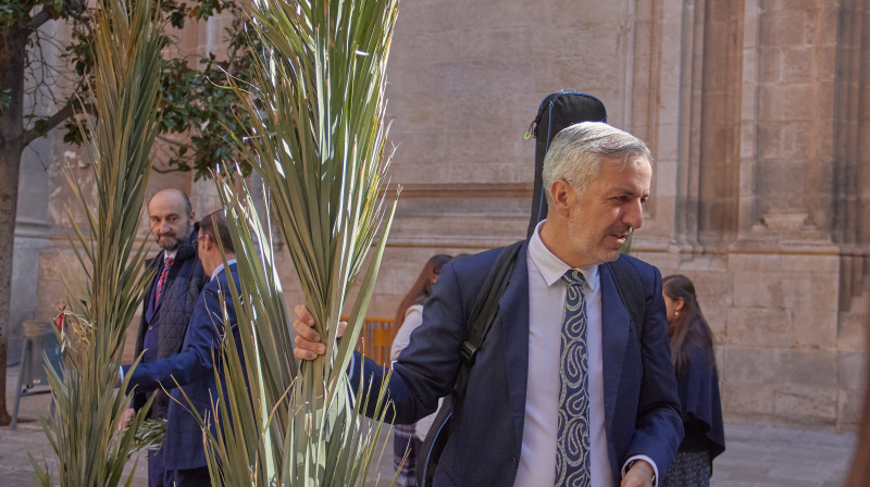 Domingo de Ramos en Granada