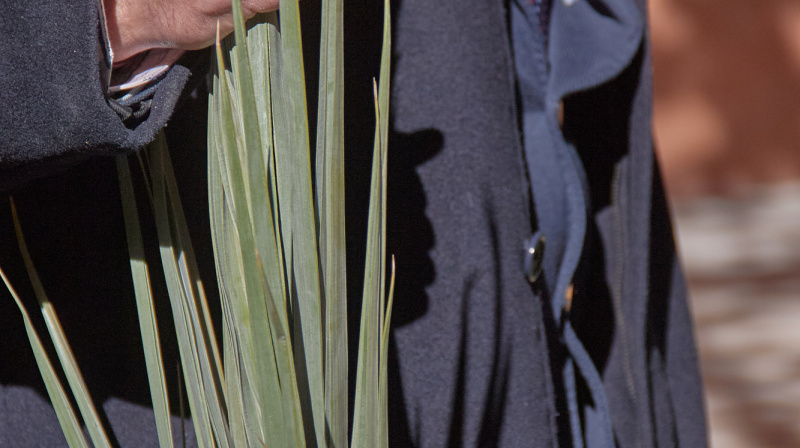 Domingo de Ramos en Granada