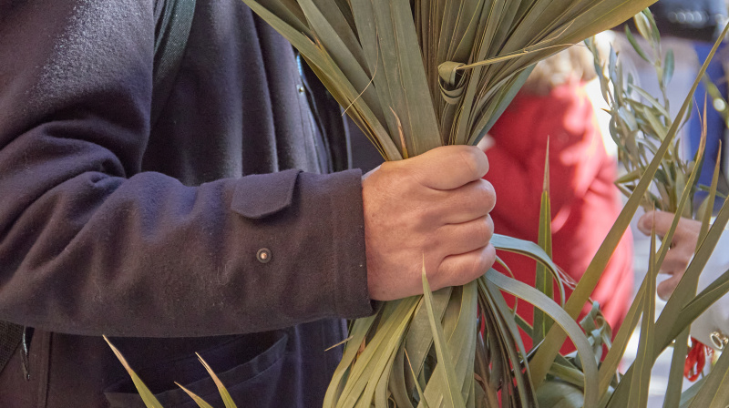 Domingo de Ramos en Granada